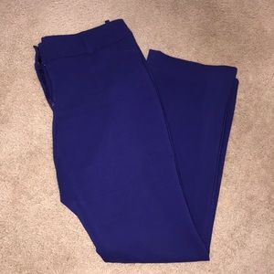 Violet dress pant.